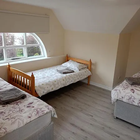 民宿 Palm 2 都柏林